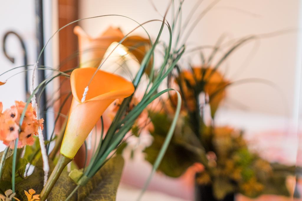 מאלינסקה Guesthouse Villa Maria מראה חיצוני תמונה